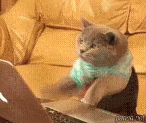9cab78c600863464dfb695f7ba57e09f.gif