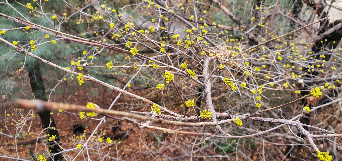 20220315_073729.jpg