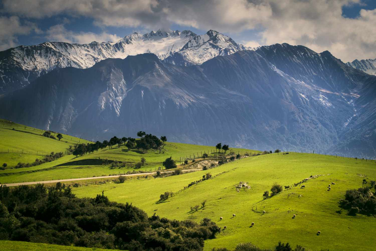 rural-scene-with-mountains-behind--kaikoura--gisborne--new-zealand-1016324114-19380fe292d94029932c37d19b82bda9.jpg