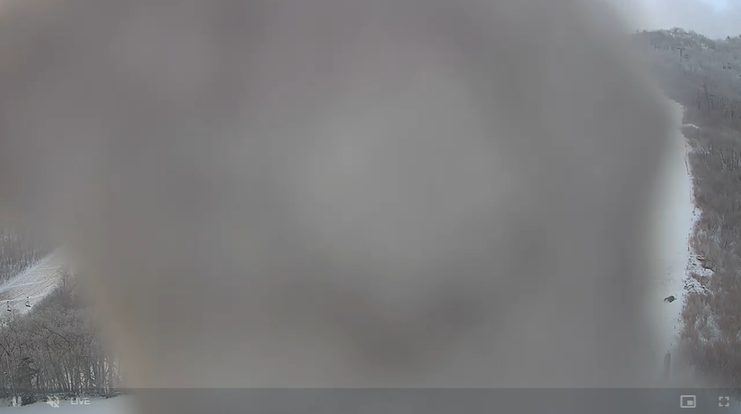 20210107_080315.png