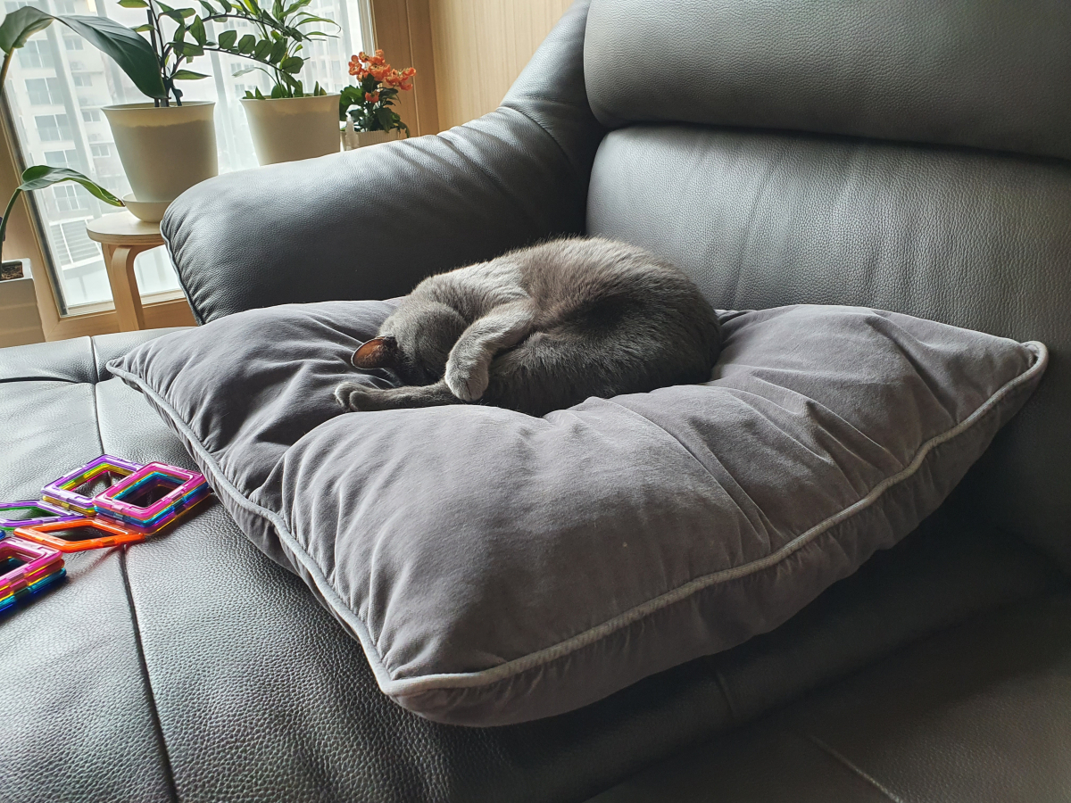 20201202_131234.jpg