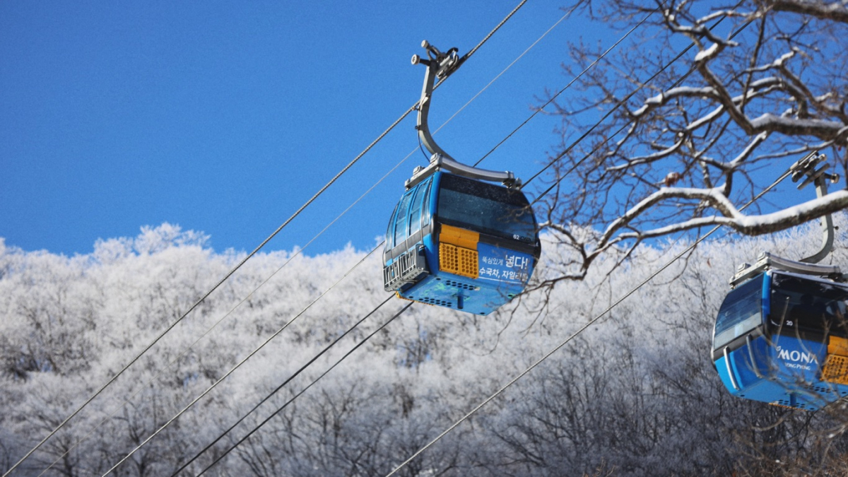 IMG_3421.JPG