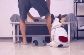 개테러3.gif