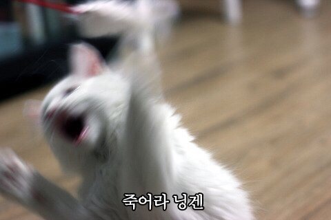 NaverBlog_20170523_020648_01.jpg