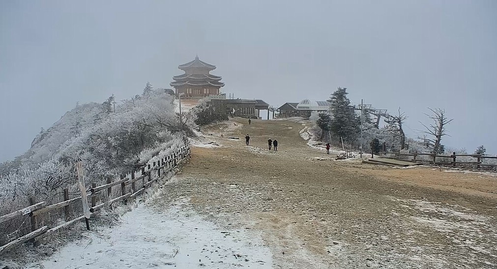 화면 캡처 2025-11-18 111744.jpg