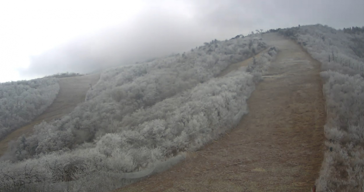 화면 캡처 2025-11-18 111839.jpg