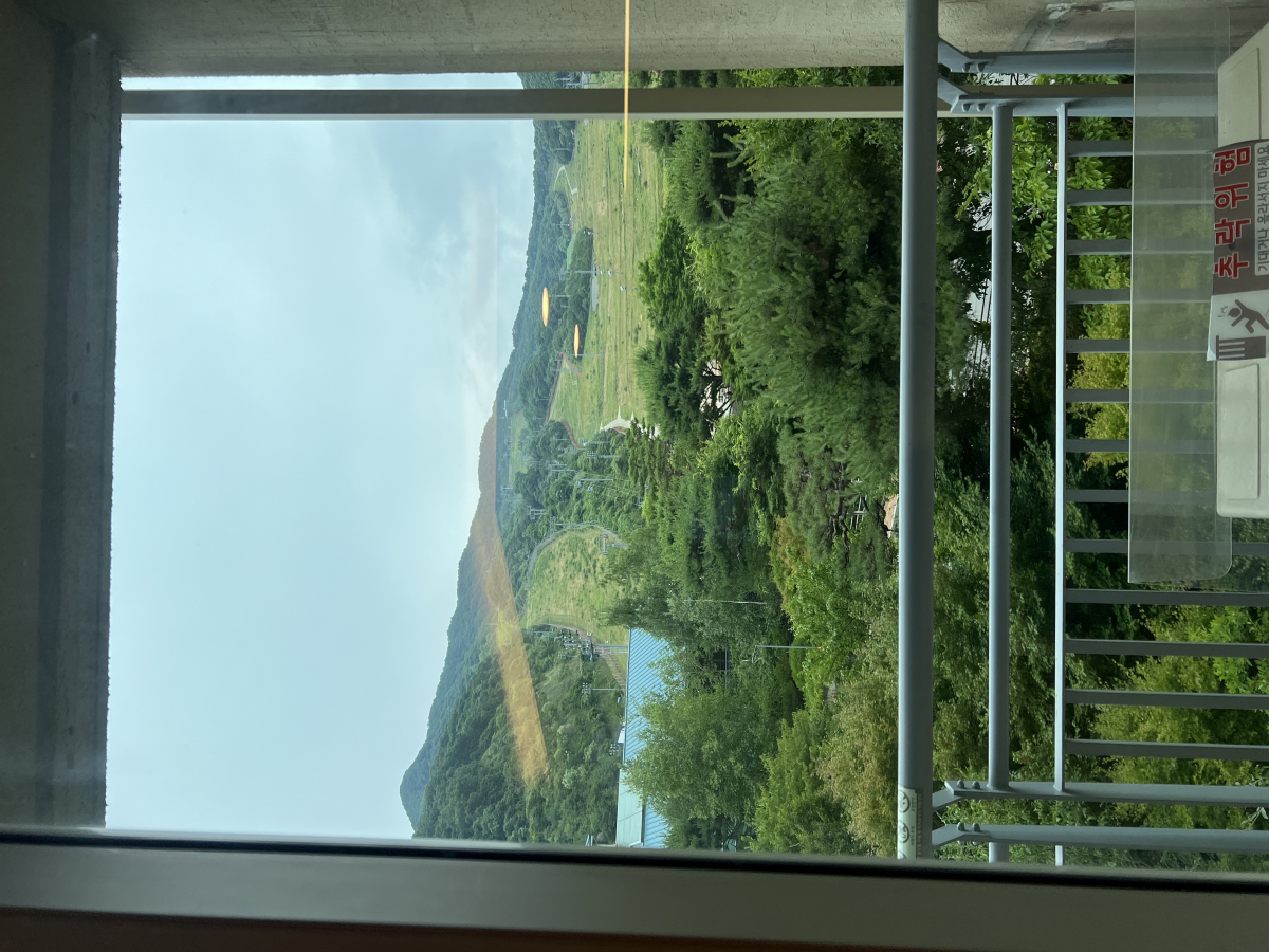 IMG_9179.jpeg