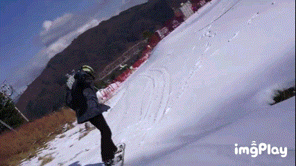 IMG_rcchnn.gif