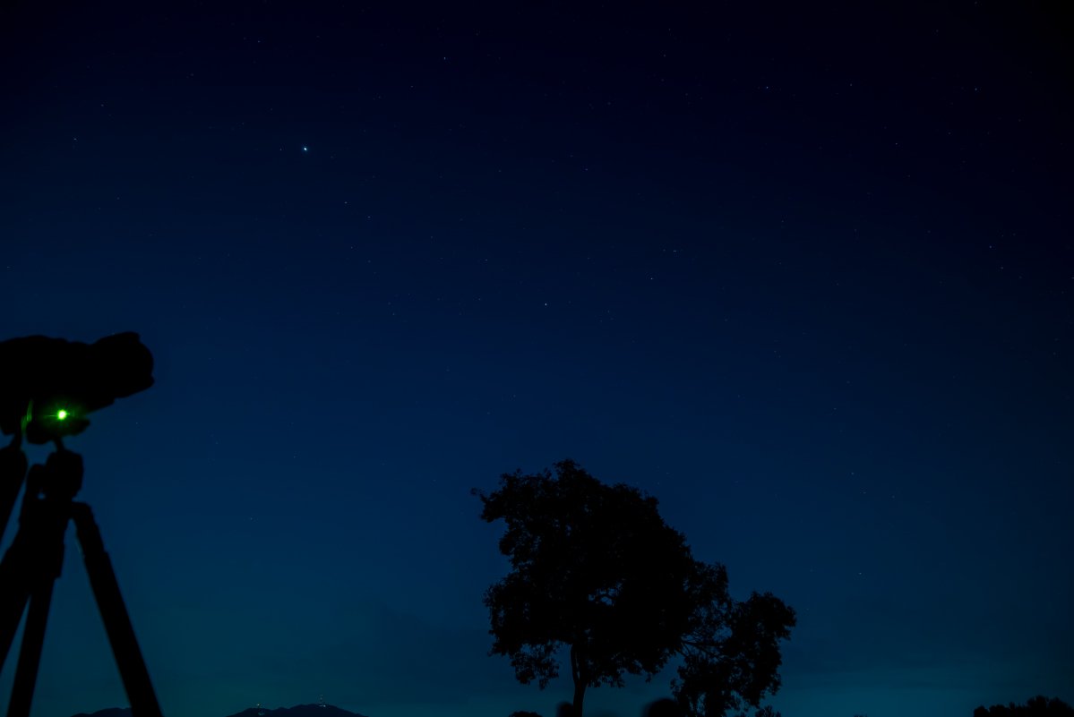 DSC_31233333.jpg