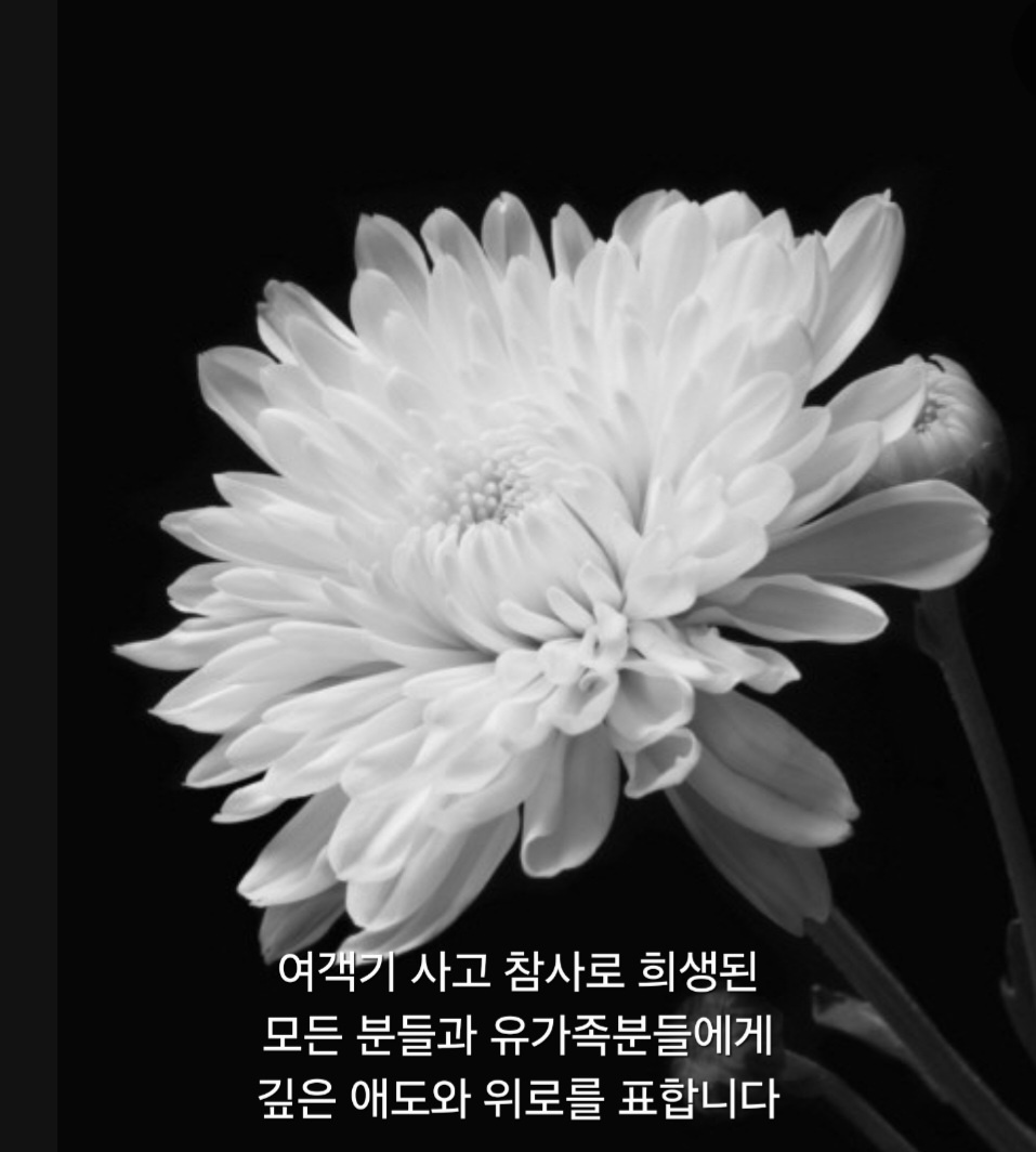 추모국화.jpg