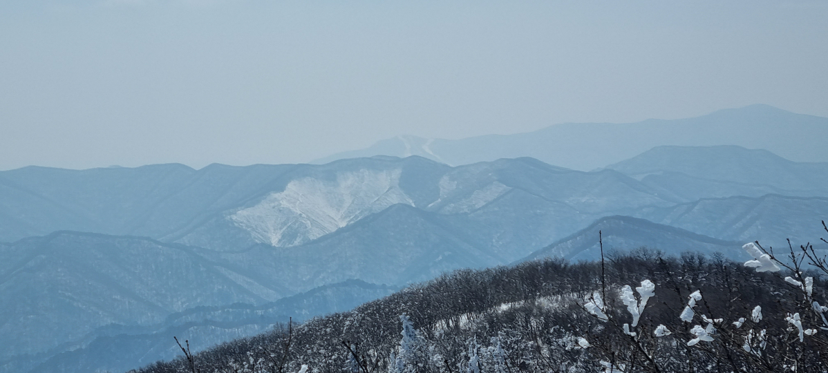 20220322_124534.jpg