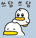 쓰담.jpg