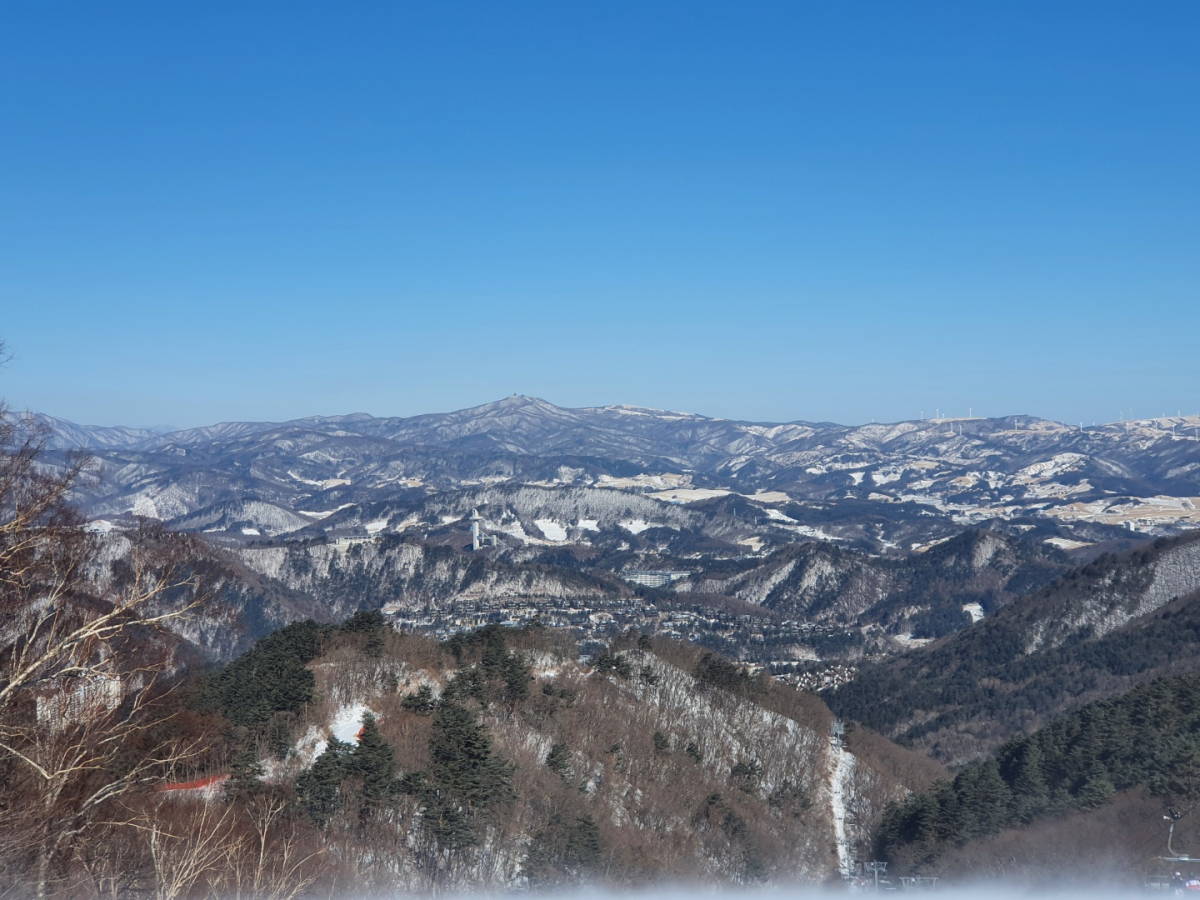 KakaoTalk_20210201_094006056.jpg