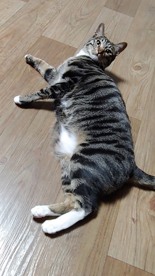 KakaoTalk_20190601_211345908.jpg