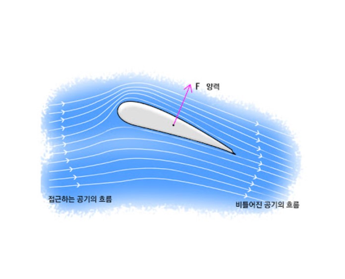 양력.jpg