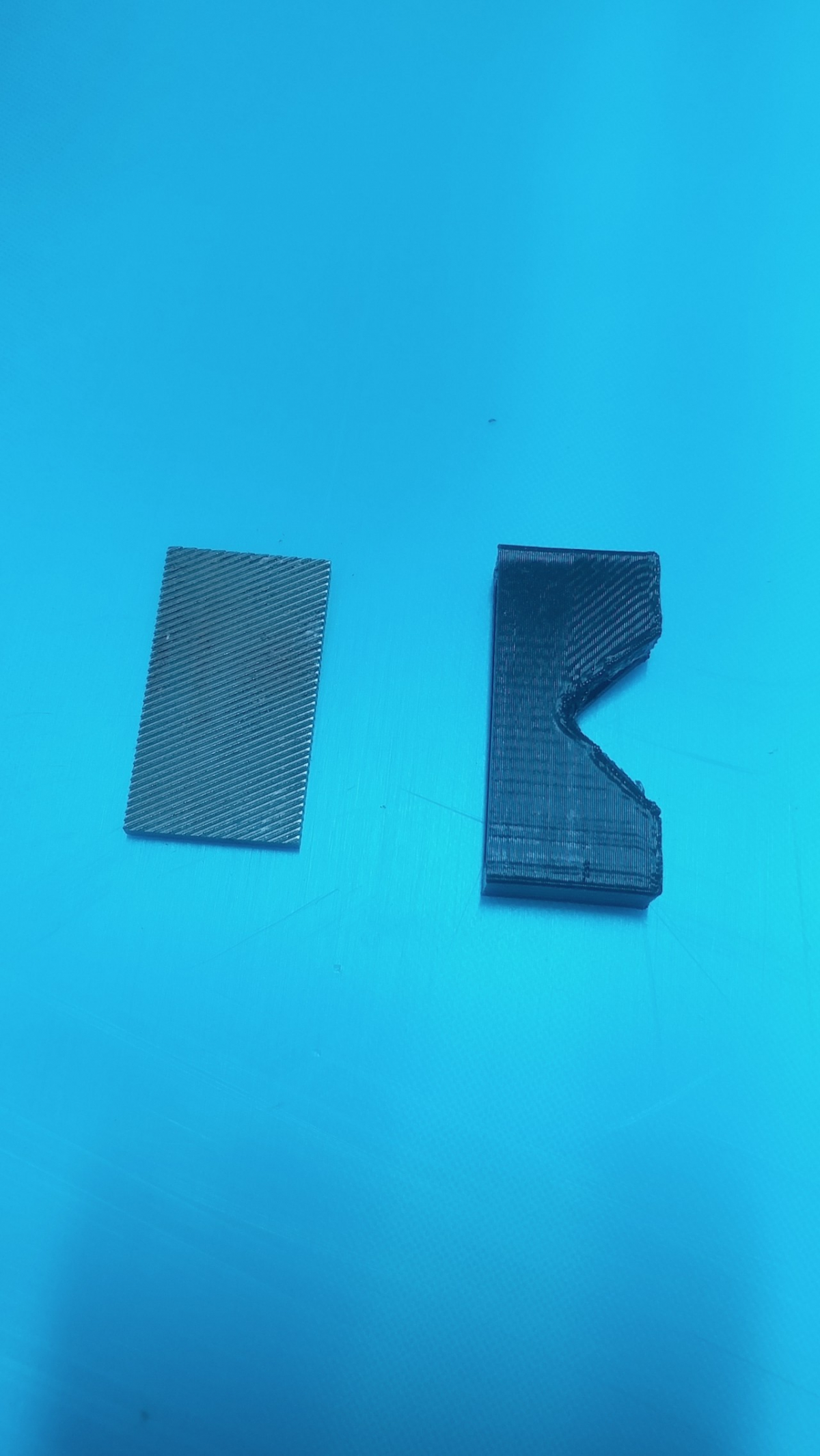 file1.jpg