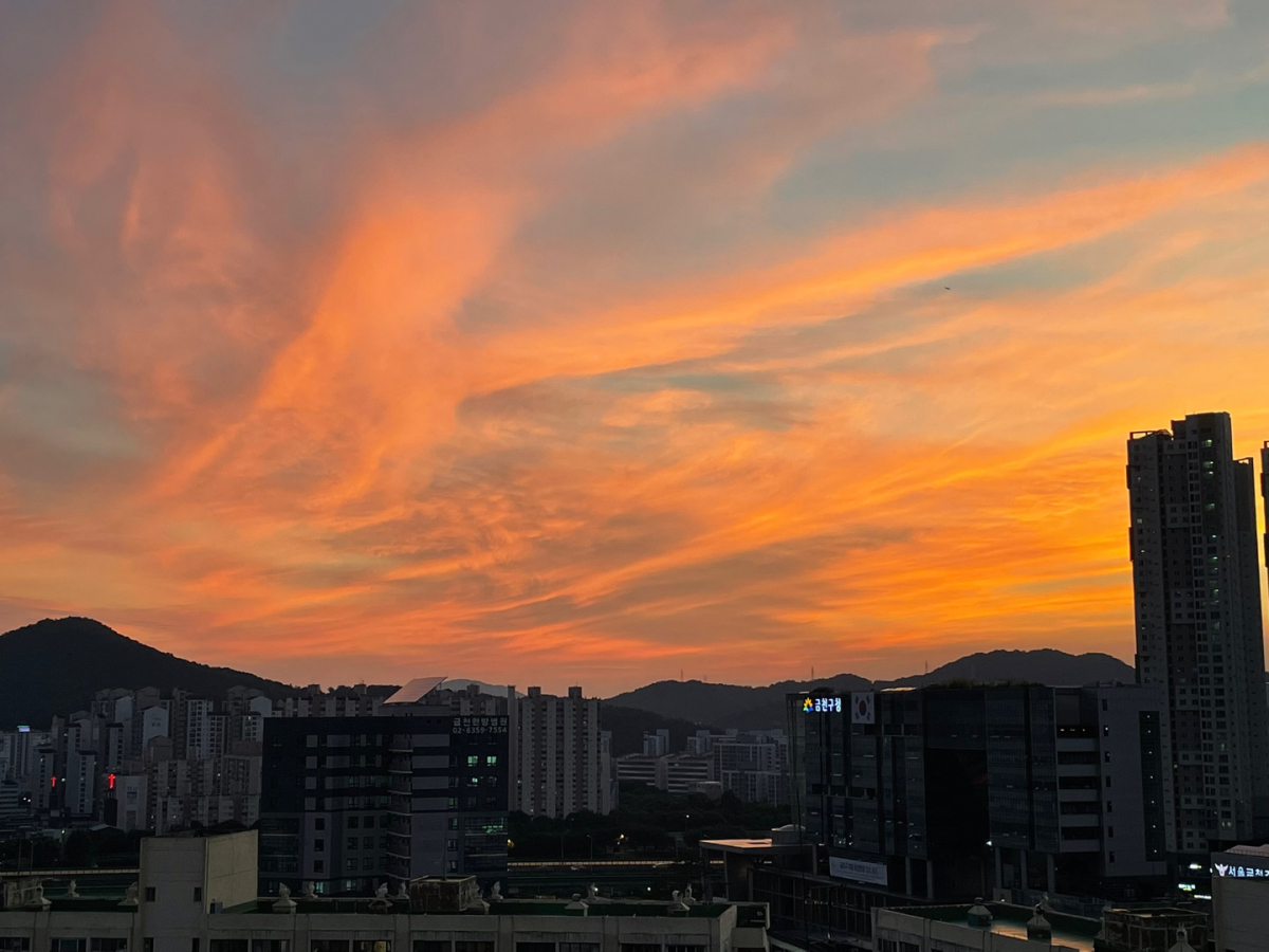 KakaoTalk_20210726_114429001.jpg