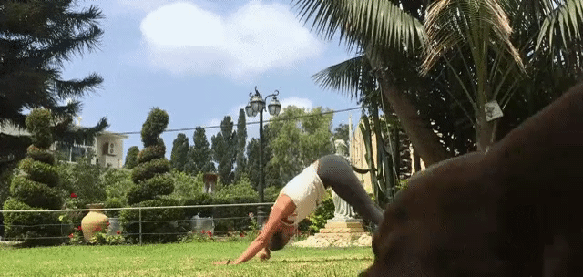 1608117950496.gif