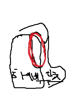 DS.jpg