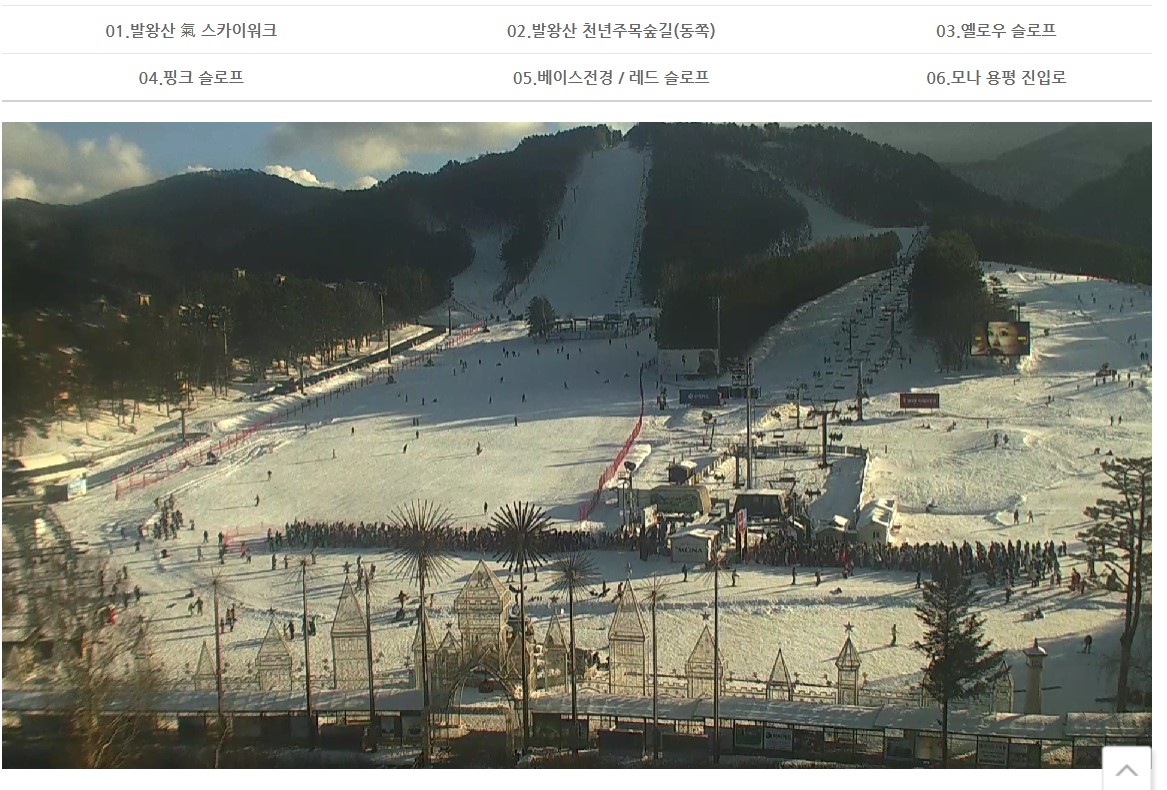 화면 캡처 2024-11-29 212504_베이스.jpg