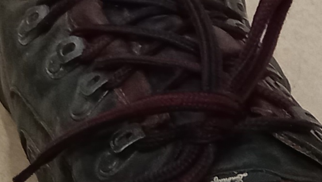 20210612_110248.jpg