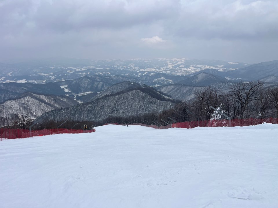 KakaoTalk_20250308_195450726_13.jpg