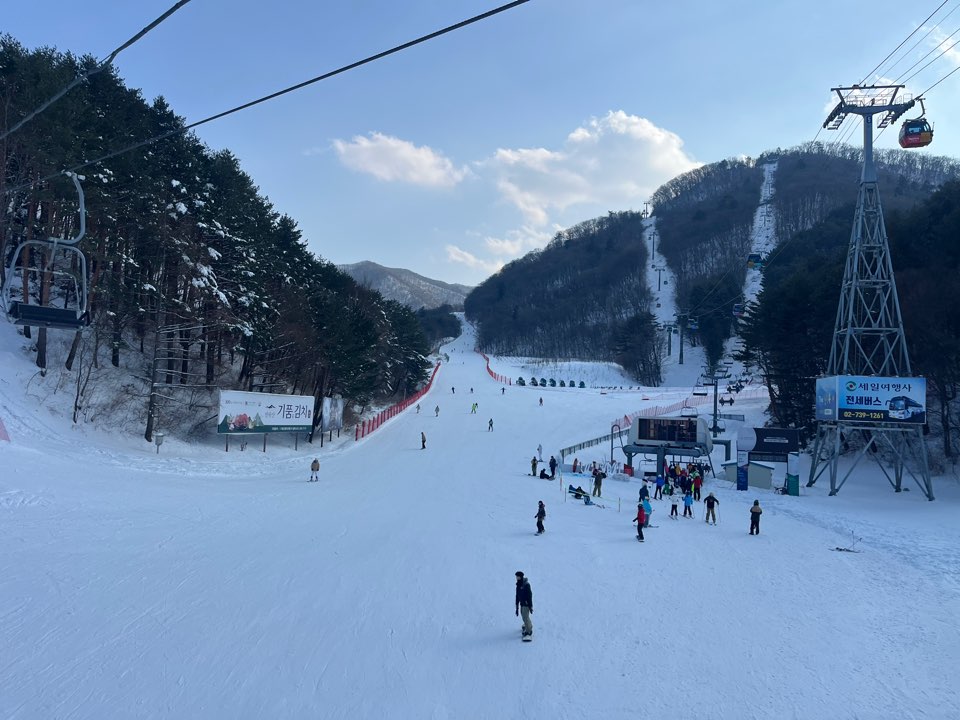 KakaoTalk_20250308_195450726_20.jpg