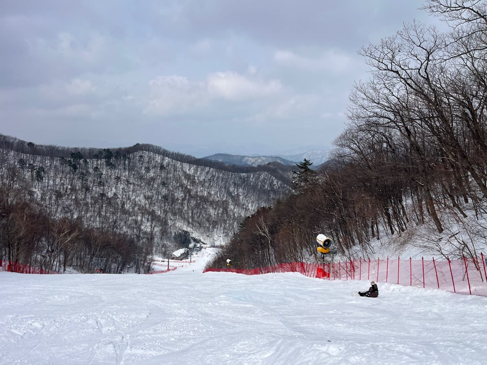 KakaoTalk_20250308_195450726_17.jpg