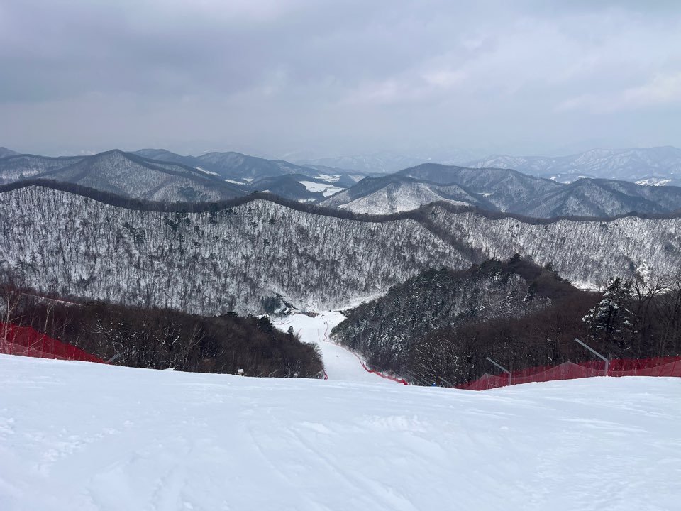 KakaoTalk_20250308_195450726_14.jpg