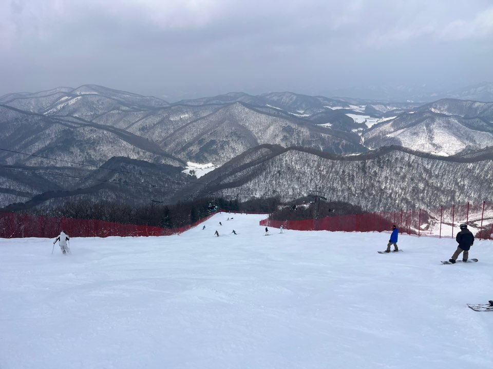 KakaoTalk_20250308_195450726_10.jpg