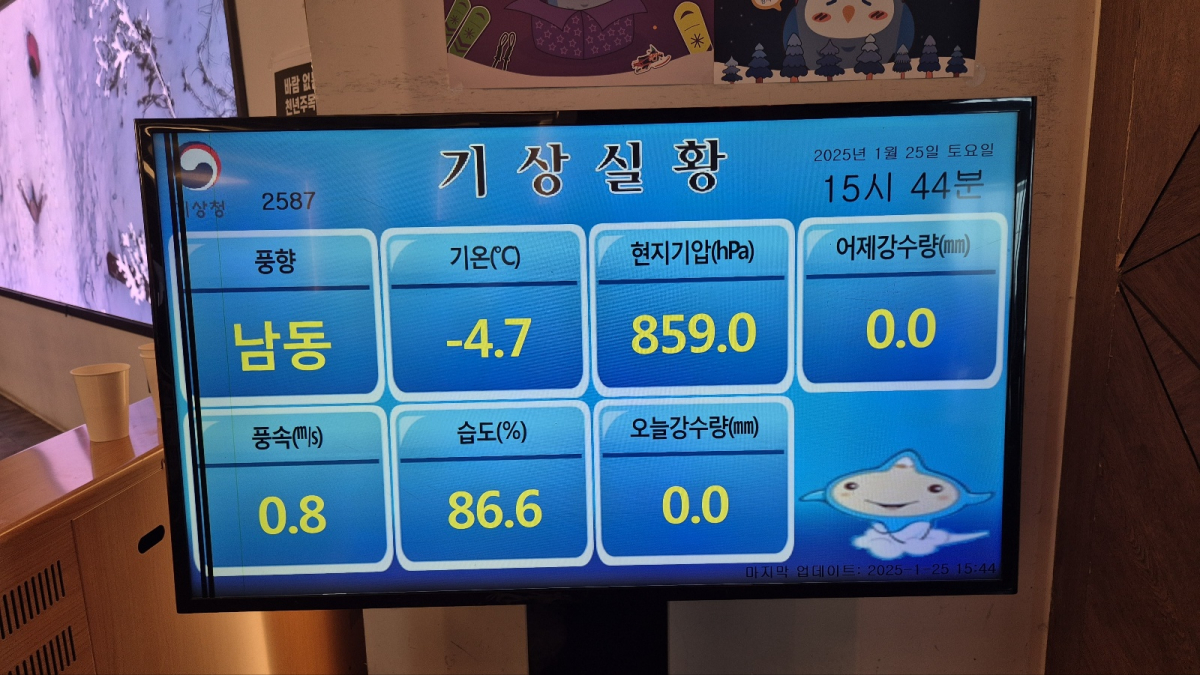 1737800364890-8.jpg