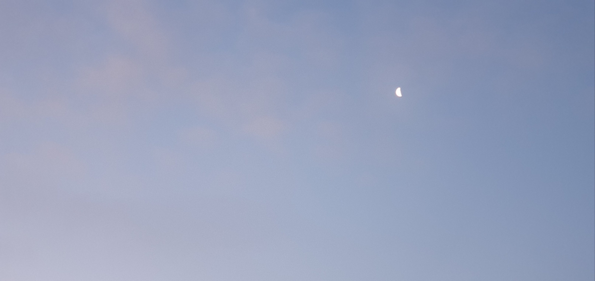 1676326694975-3.jpg