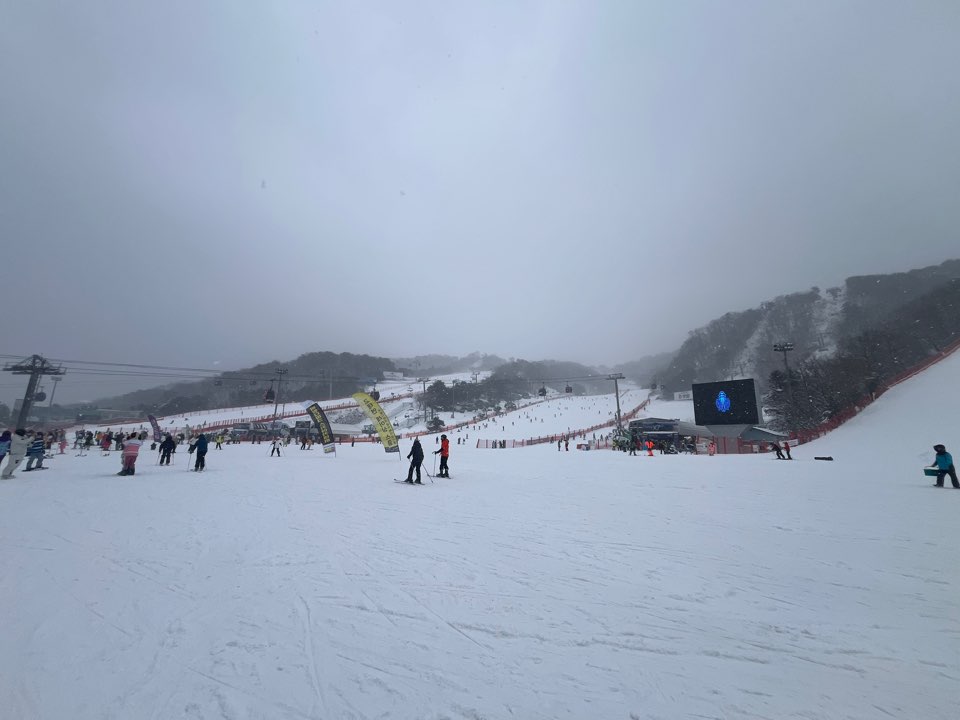 KakaoTalk_20250128_224607758.jpg