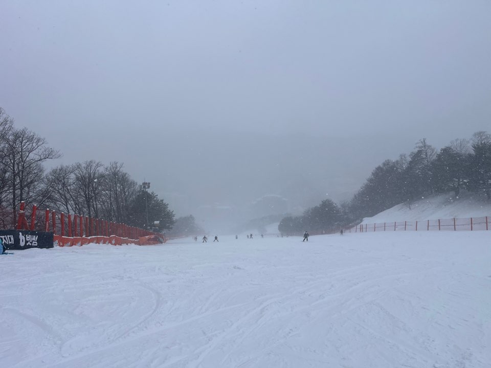 KakaoTalk_20250128_224607758_09.jpg