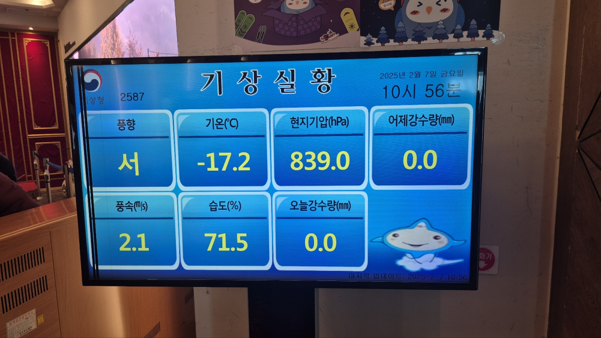 1738928627033-4.jpg