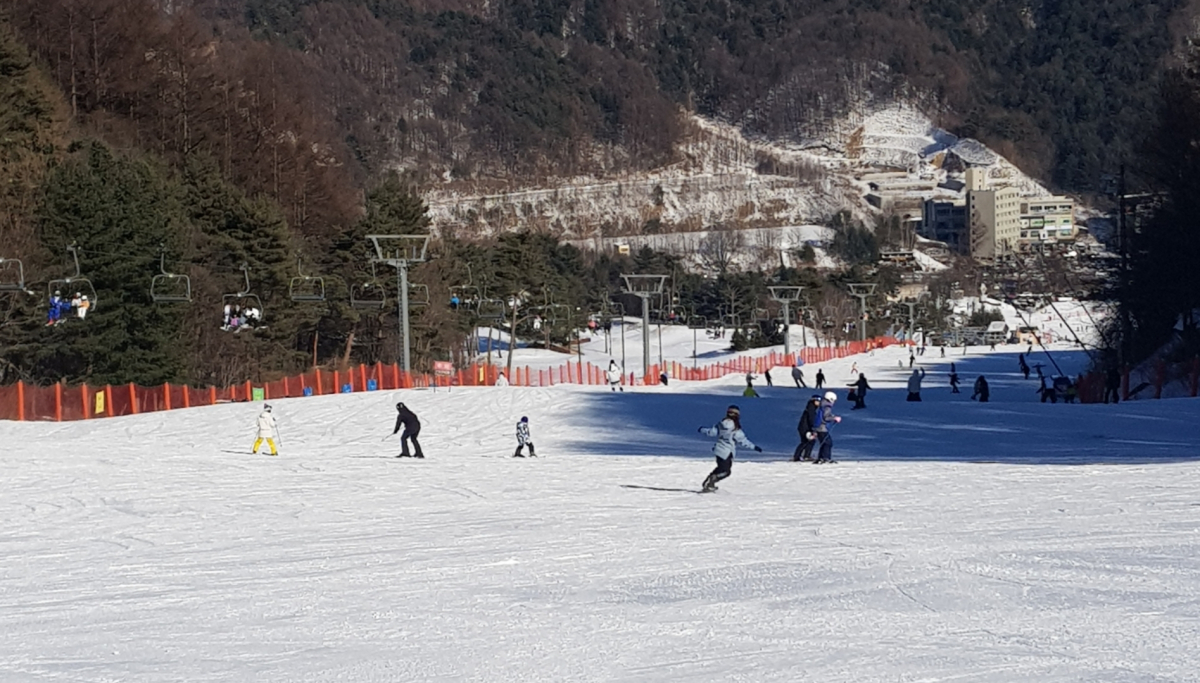 20230121_153658.jpg