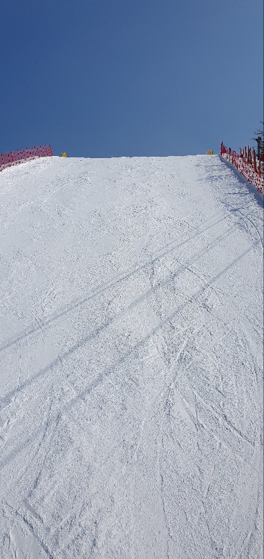 1677160497975-21.jpg