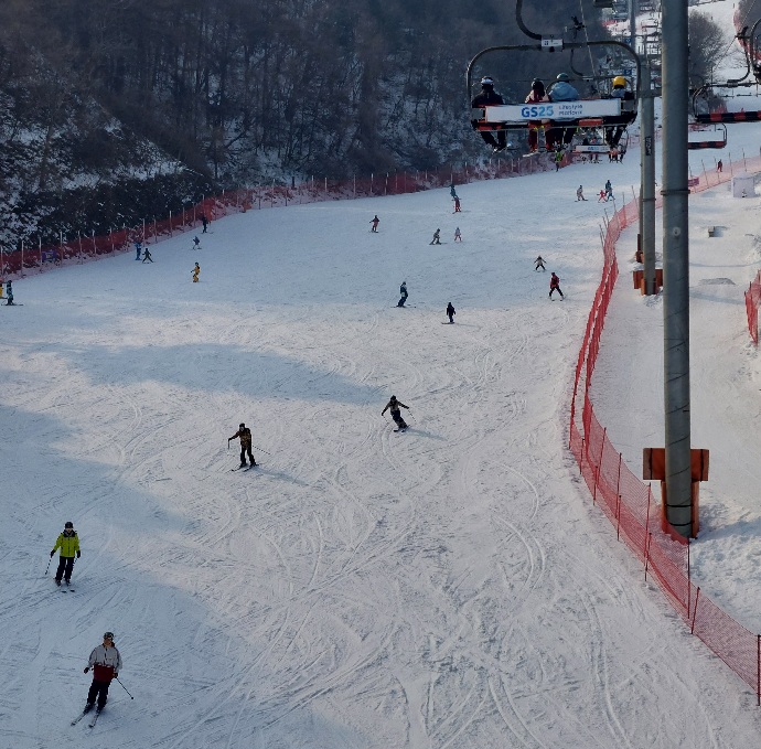 20250120_115651.jpg