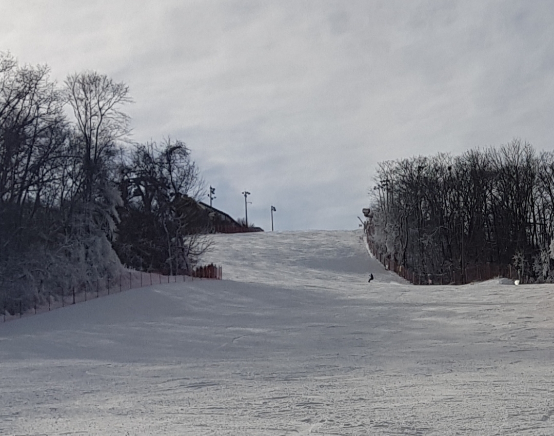 20221208_135558.jpg