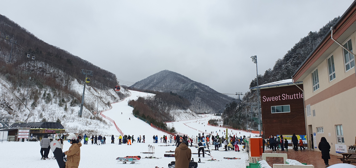 20250126_135529_슬로프.jpg