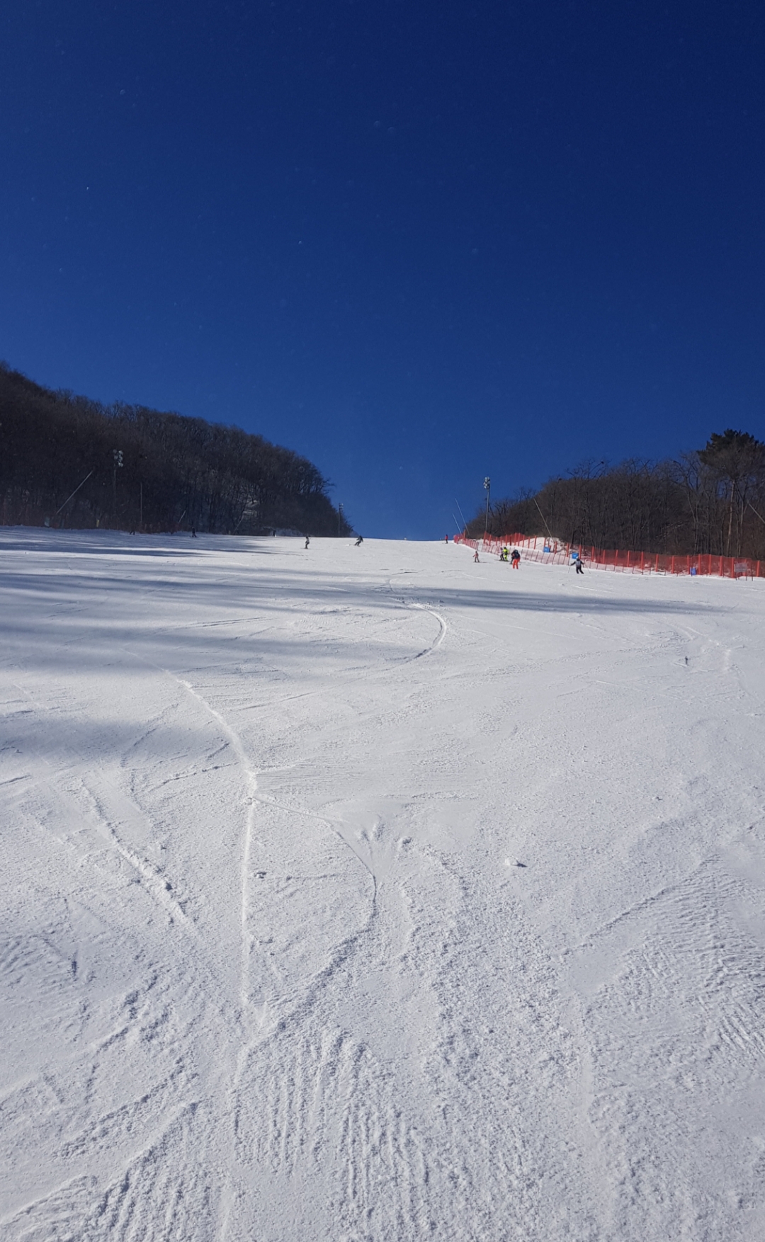 20230124_141319.jpg