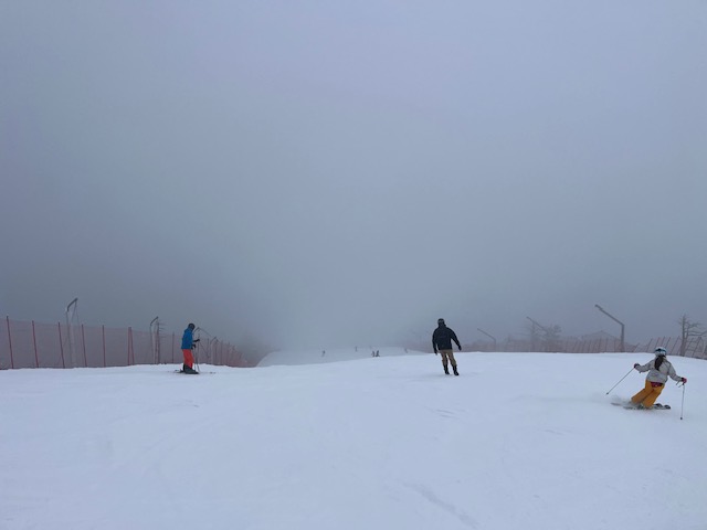 IMG_1282.jpg