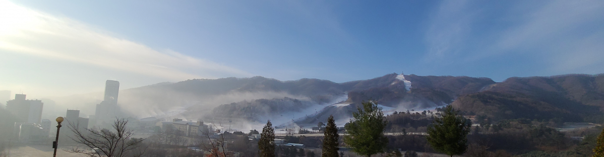 20201126_085205.jpg