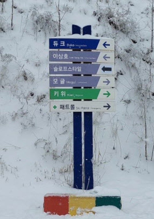 02.jpg