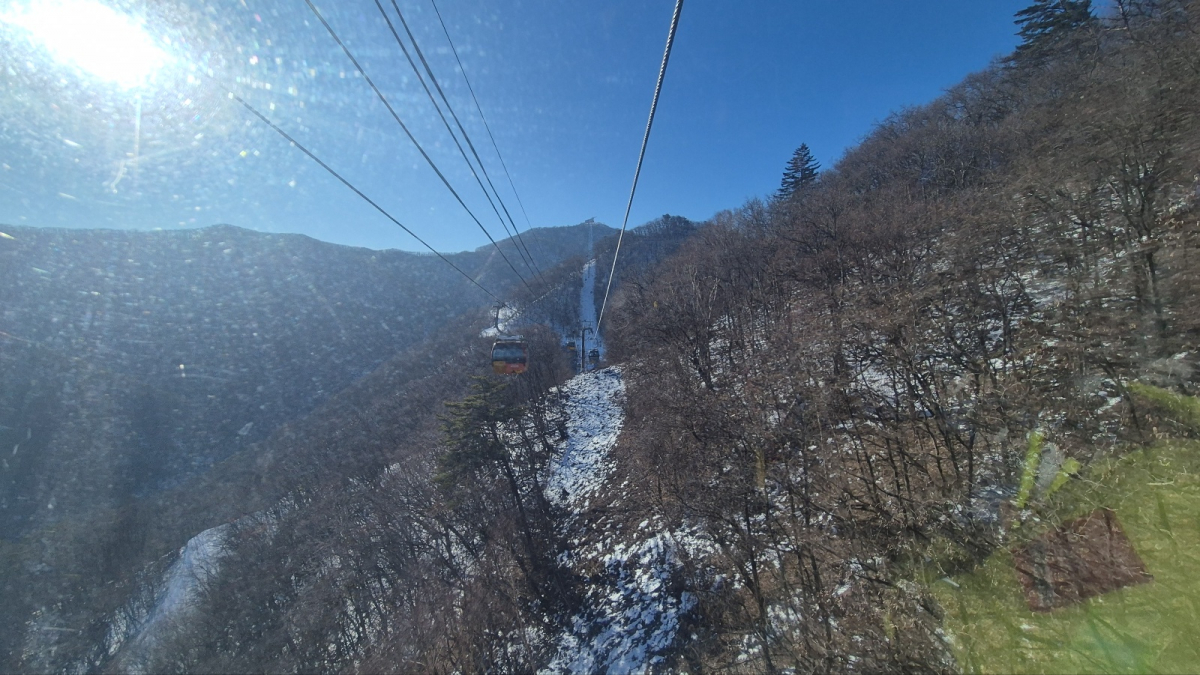 1734321176512-7.jpg