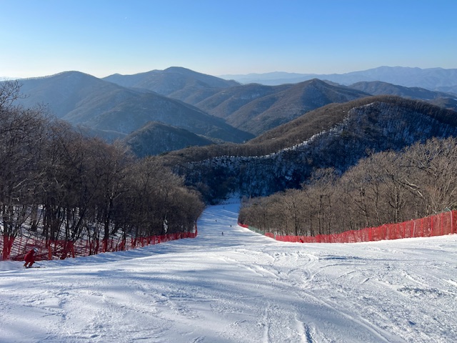IMG_1268.jpg