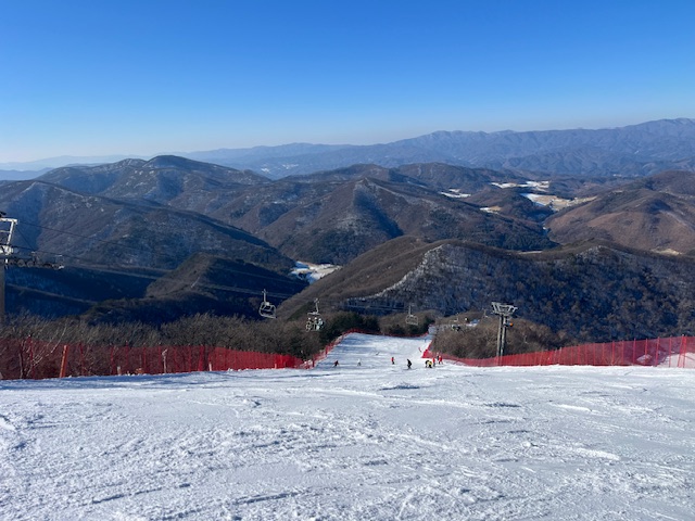 IMG_1263.jpg