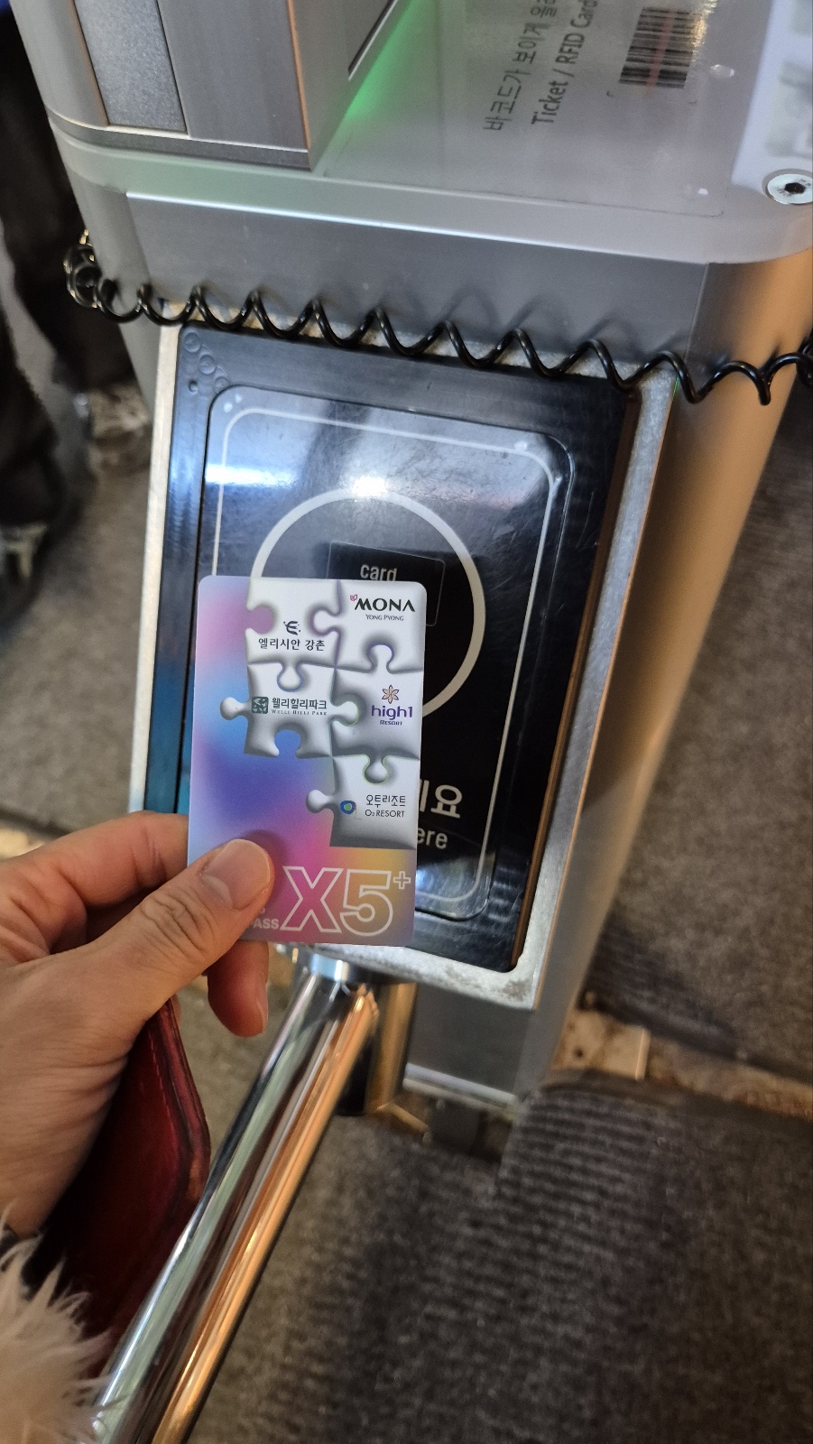 1733824529607-15.jpg