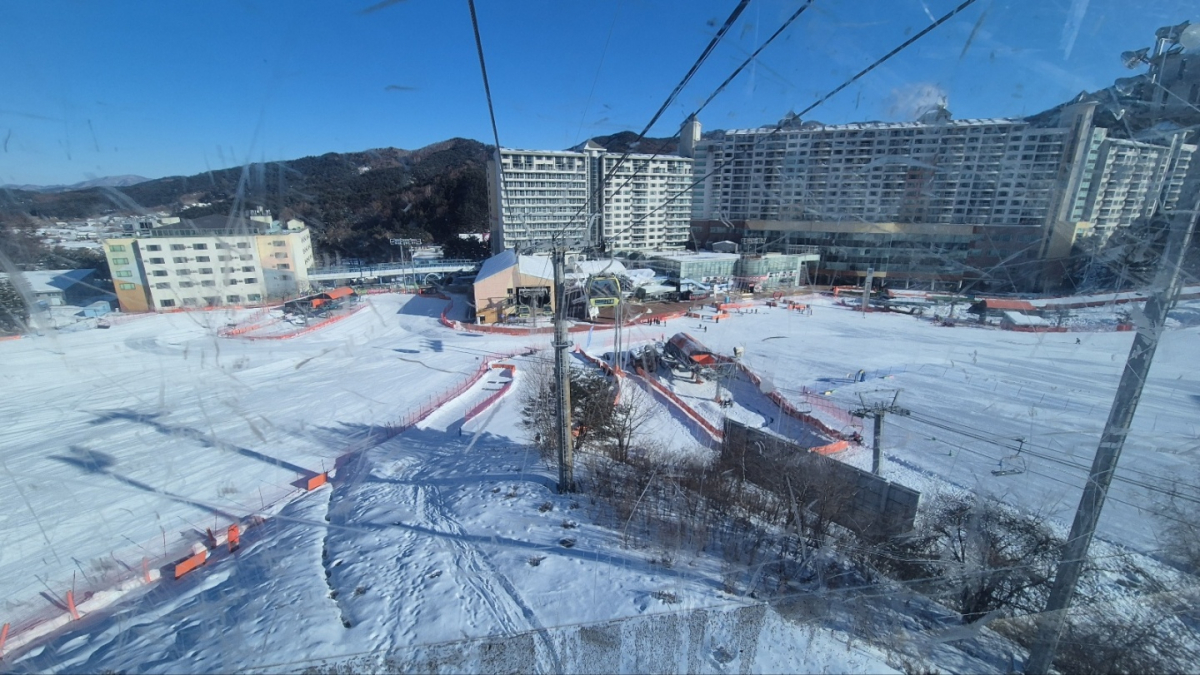 1736412735610-15.jpg