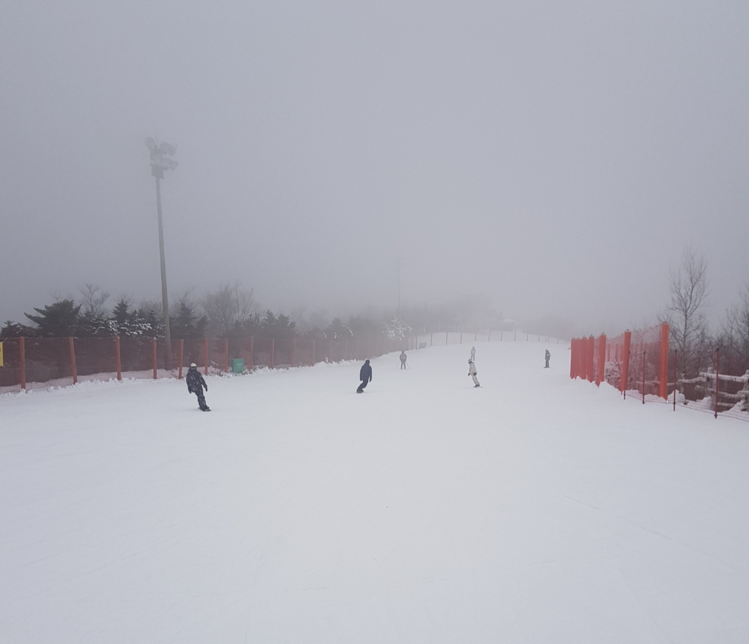 20221209_155343.jpg